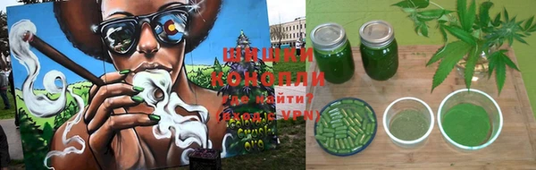 ГАЛЛЮЦИНОГЕННЫЕ ГРИБЫ Беломорск