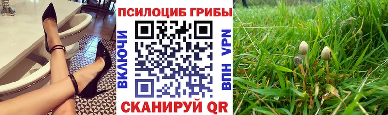 купить   ОМГ ОМГ рабочий сайт  Псилоцибиновые грибы мицелий  Кириллов 